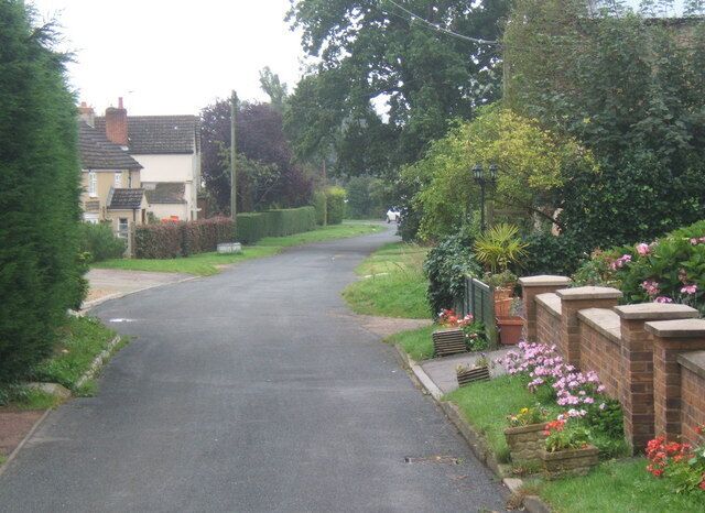 A quiet residential street with houses on both sides, surrounded by lush greenery and flowering plants.