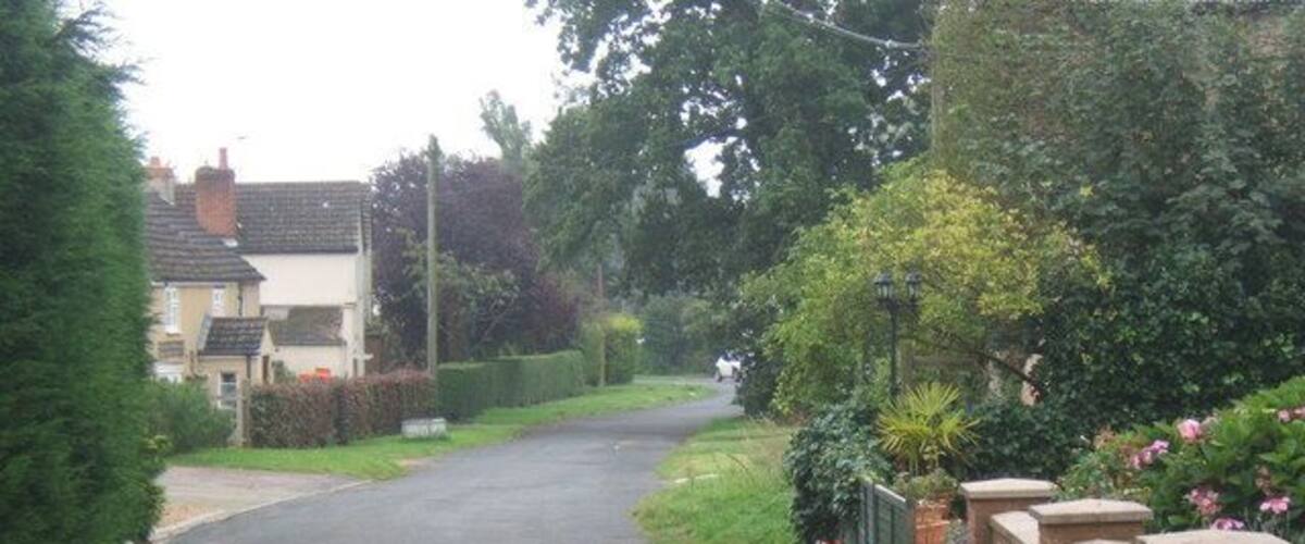 A quiet residential street with houses on both sides, surrounded by lush greenery and flowering plants.