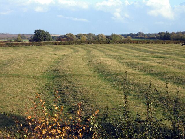 Medieval ridge and furrow, Catworth, Hunts, Cambridgeshire, Great Britain. Well-preserved survivor of the open fields prior to the Inclosure of 1795, viewed from the A14 slip road.