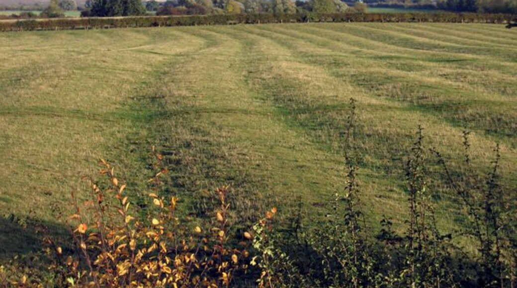 Medieval ridge and furrow, Catworth, Hunts, Cambridgeshire, Great Britain. Well-preserved survivor of the open fields prior to the Inclosure of 1795, viewed from the A14 slip road.