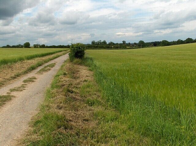 Dunkirt Lane The public footpath crosses barley fields on its approach to Abbotts Ann.