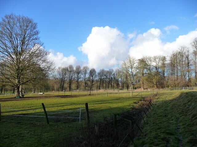 Tidworth - Grazing Land This land is used for grazing horses.