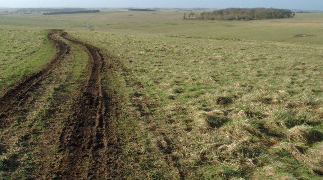 View of the West Down and East Down As with many byways on Salisbury Plain this one is a reasonably popular route with 4x4 vehicles although without enormous damage to the ground. The West Down is to the left of centre in the middle distance. The East Down is on the higher ground to the right of centre.