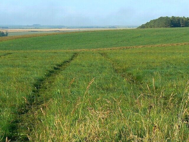 Tracked vehicle tracks, near Westdown Camp Whatever made these was large, possibly a tank or a tank recovery vehicle.
