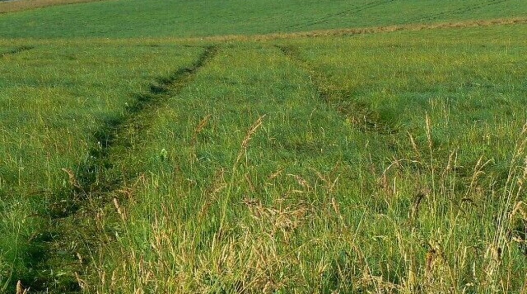 Tracked vehicle tracks, near Westdown Camp Whatever made these was large, possibly a tank or a tank recovery vehicle.