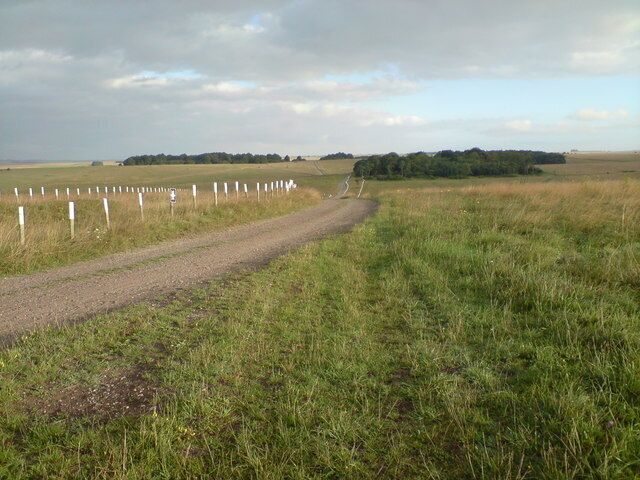 A View of East Down & West Down Plantation Salisbury Plain training Area for the army mainly, other countries also come here to train.