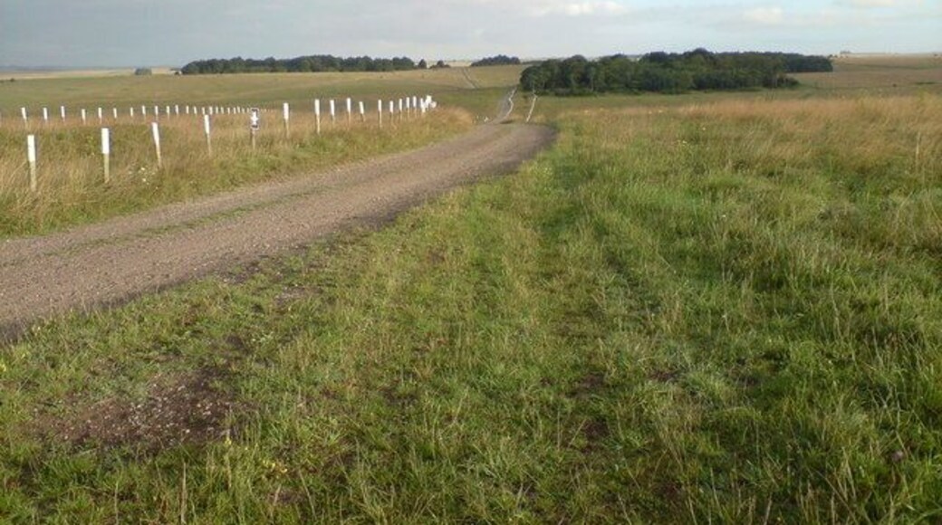 A View of East Down & West Down Plantation Salisbury Plain training Area for the army mainly, other countries also come here to train.