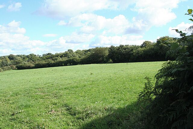 Otterford: by Whatley Lane. Looking south-south-east across a field adjoining the lane