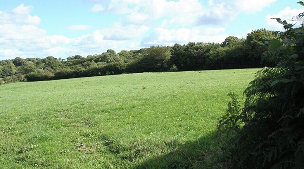 Otterford: by Whatley Lane. Looking south-south-east across a field adjoining the lane