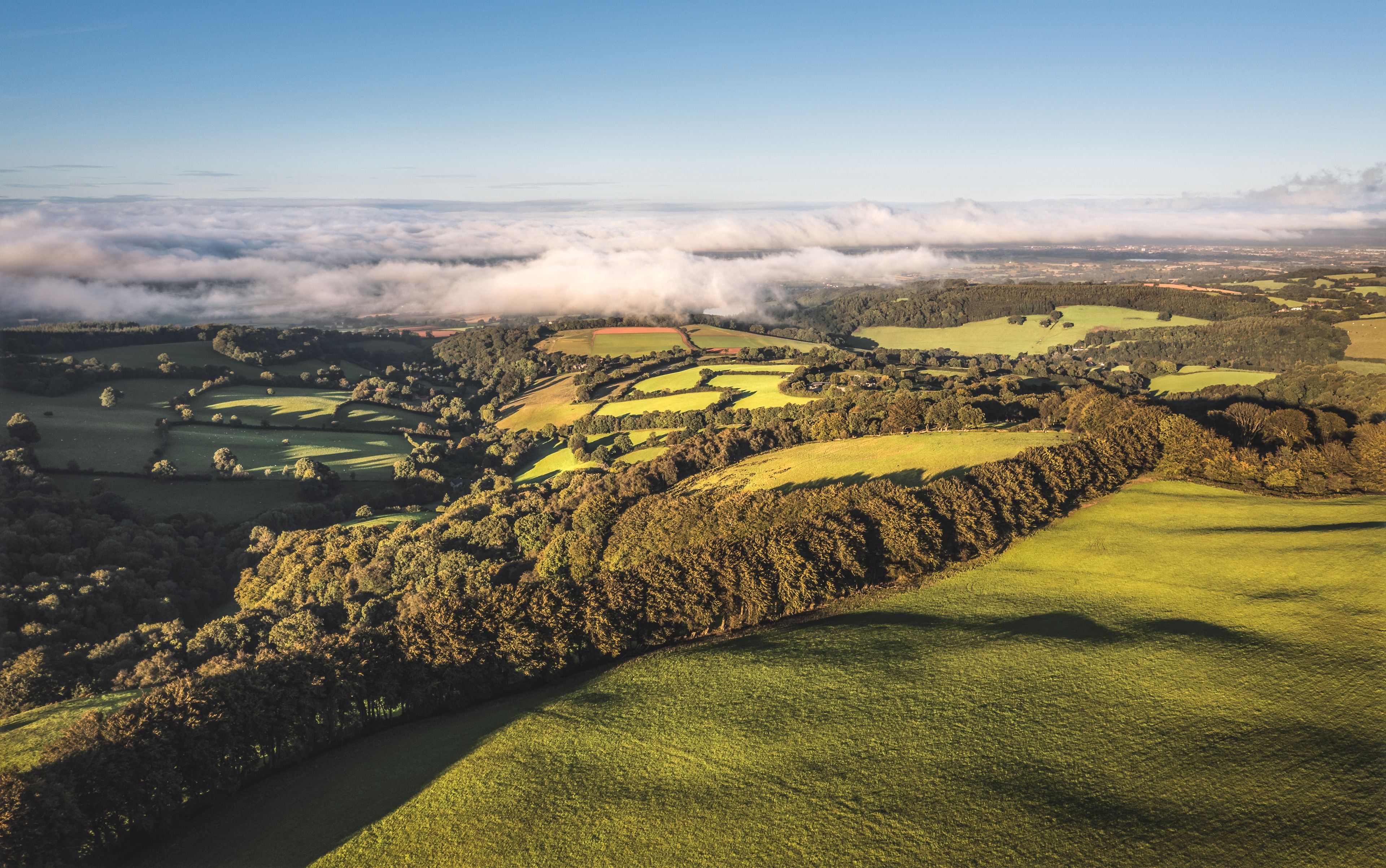 Golden Hour on the Quantocks