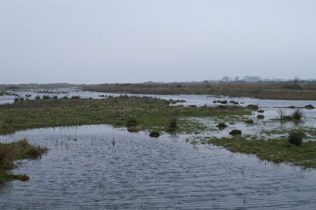Marsh on Walt Common.