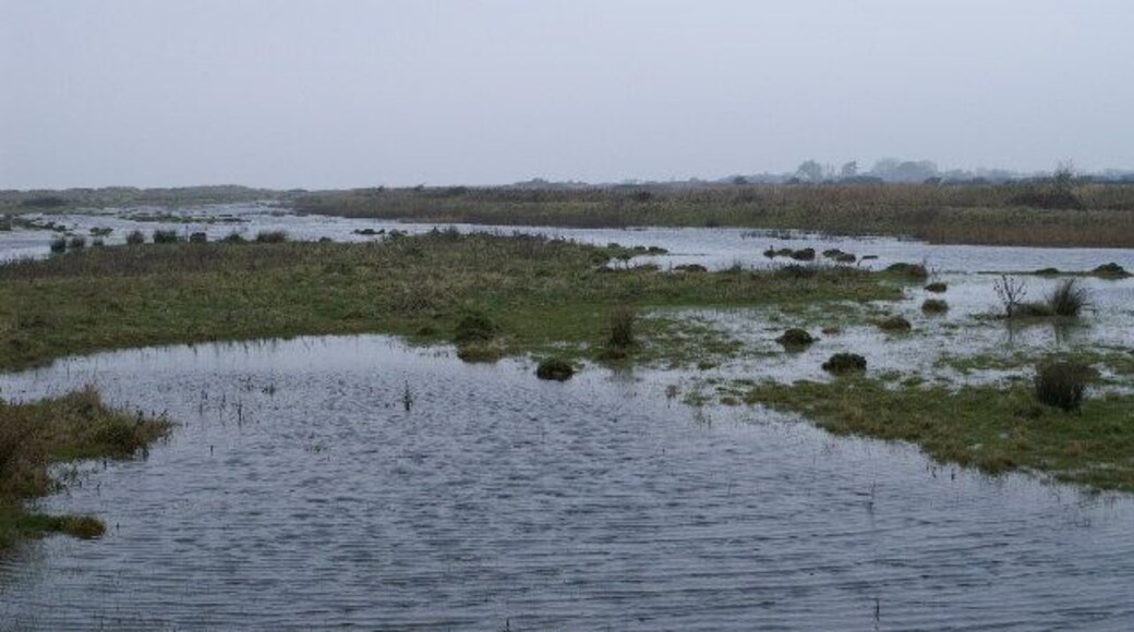 Marsh on Walt Common.