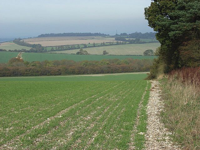 Farmland near Tidcombe Looking down the hillside at the western end of Newfield Copse.