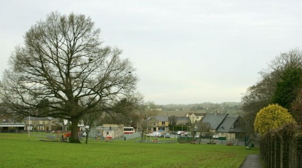 Amenity area at New Town, Paulton Playing fields to us though an open space here is a welcome sight.