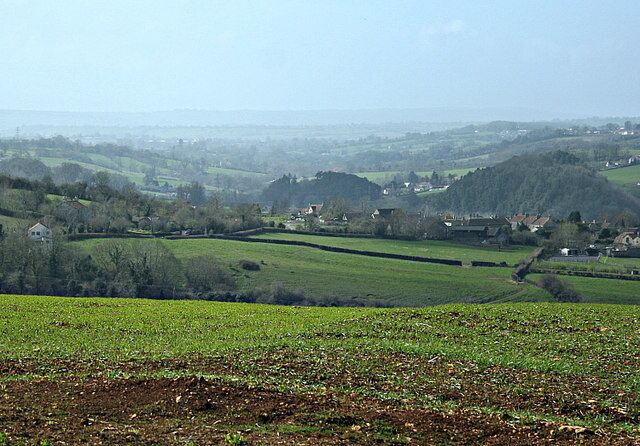 The Cam Brook Valley From a cornfield north of Peasedown we are looking due west along the valley of the Cam Brook. It is possible to see a few buildings south of Timsbury on the right hand edge about 3/4 of the way up. This valley was at the heart of the North Somerset coalfield and was serviced by the Somerset Coal Canal running at its foot as far as Radford Basin until the railway made it unprofitable. Parts of the line can still be found.