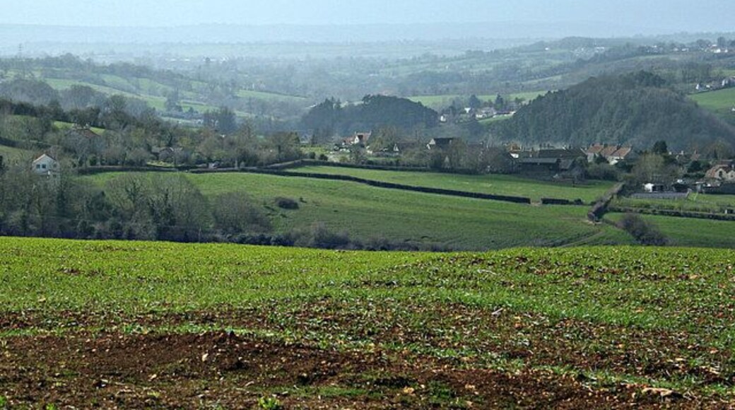 The Cam Brook Valley From a cornfield north of Peasedown we are looking due west along the valley of the Cam Brook. It is possible to see a few buildings south of Timsbury on the right hand edge about 3/4 of the way up. This valley was at the heart of the North Somerset coalfield and was serviced by the Somerset Coal Canal running at its foot as far as Radford Basin until the railway made it unprofitable. Parts of the line can still be found.