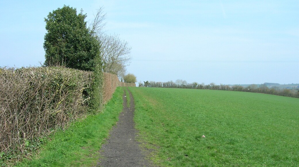 Grassy Byway south of Peasedown St John This smooth grassy Byway Open to All Traffic follows the field perimeter to a gate in the gap in the hedge visible in the distance. This view is from just inside the gate where the Byway meets Braysdown Lane.