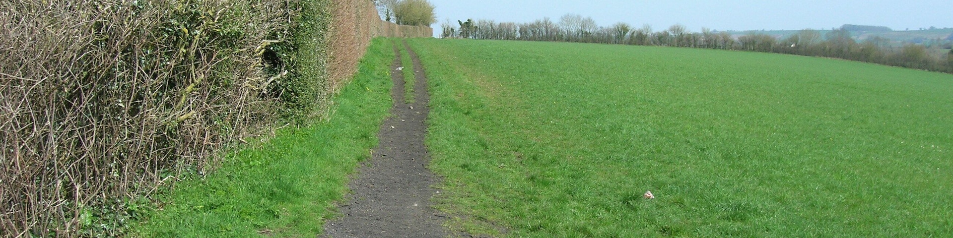 Grassy Byway south of Peasedown St John This smooth grassy Byway Open to All Traffic follows the field perimeter to a gate in the gap in the hedge visible in the distance. This view is from just inside the gate where the Byway meets Braysdown Lane.