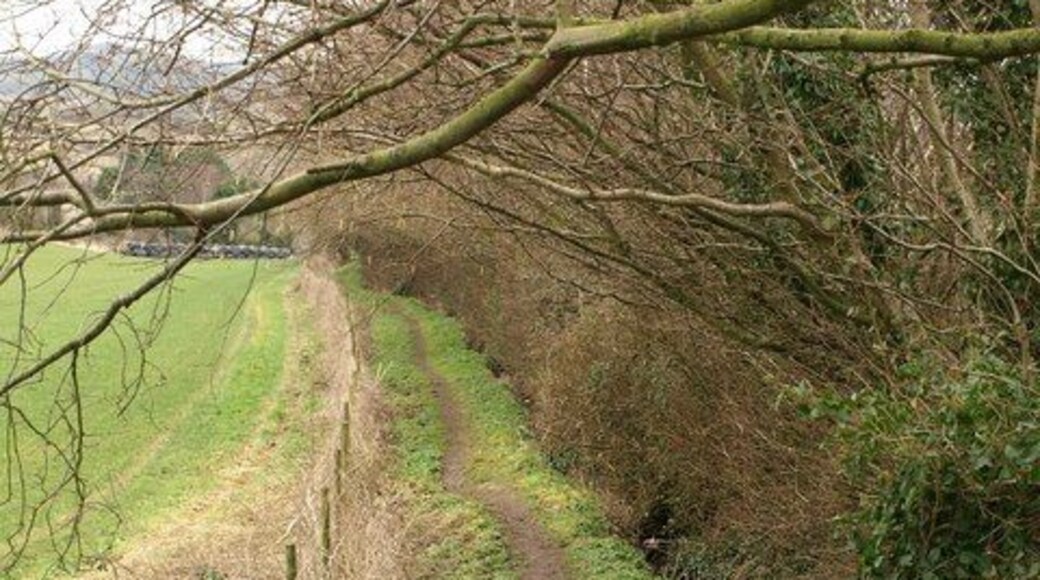 Footpath to Shoscombe Running along the edge of a field between a fence and a ditch, this path drops from Braysdown Lane to Rag Hill at the top of Shoscombe.