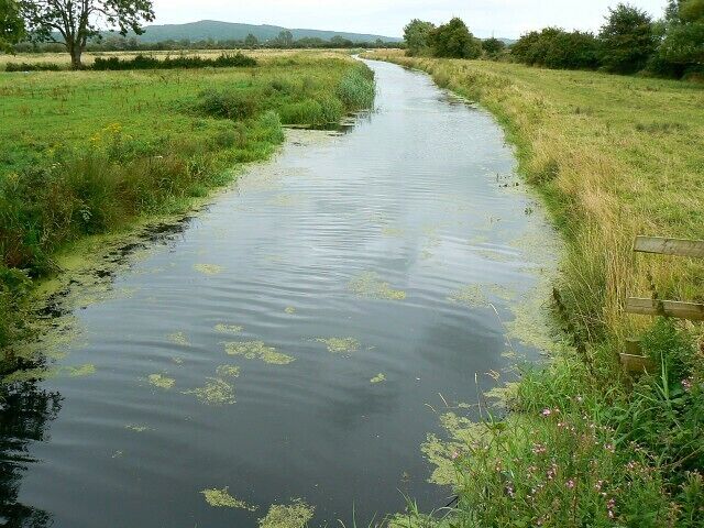 The Oldbridge River between Puxton and Hewish The river is viewed facing east or upstream. The river drains into the River Yeo north of Weston Super Mare west of here behind the viewpoint.