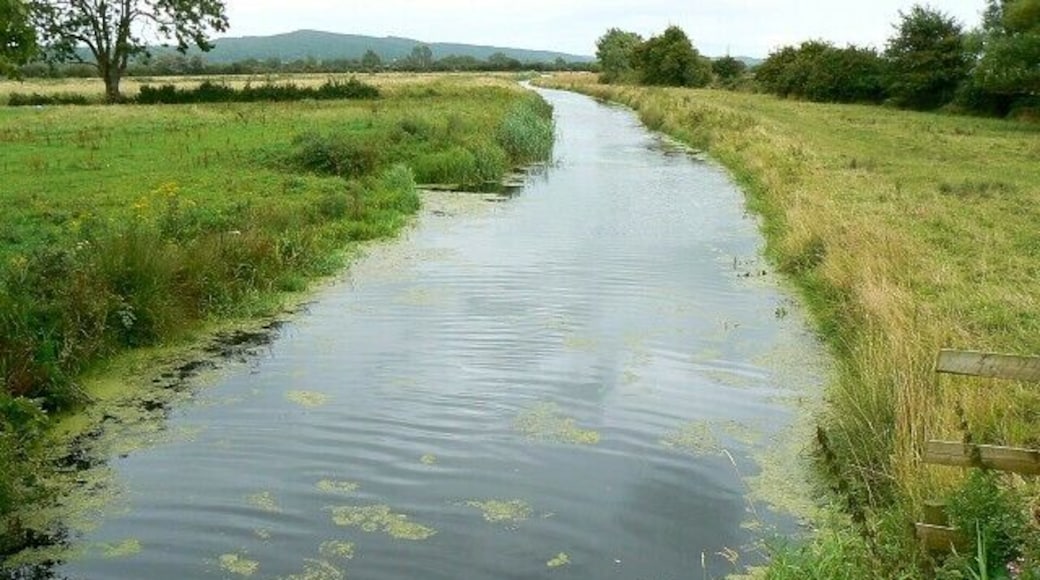 The Oldbridge River between Puxton and Hewish The river is viewed facing east or upstream. The river drains into the River Yeo north of Weston Super Mare west of here behind the viewpoint.