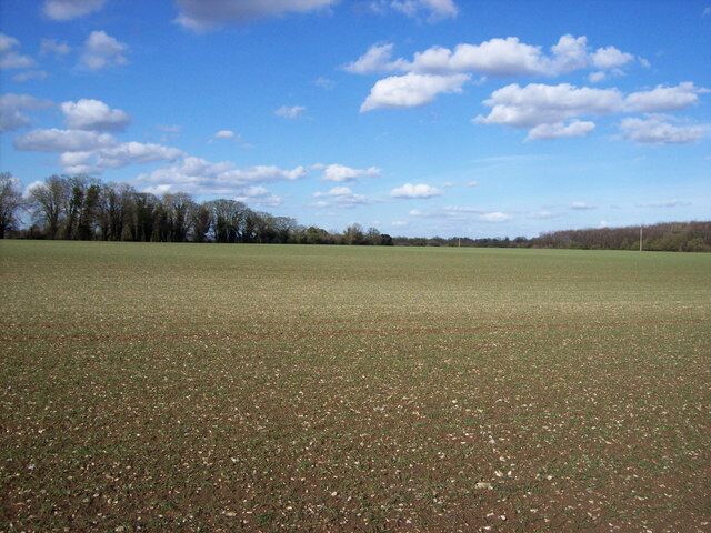 Quarley - The Big Sky Looking across the field back towards Monxton.