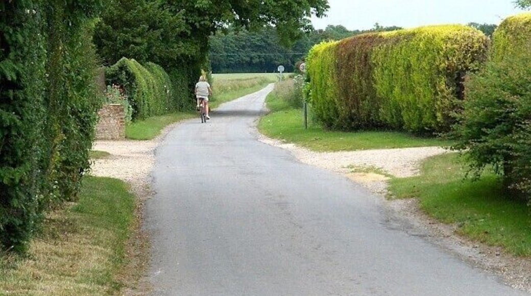 Skew Road, Quarley The road to Monxton and Amport leaves the village.