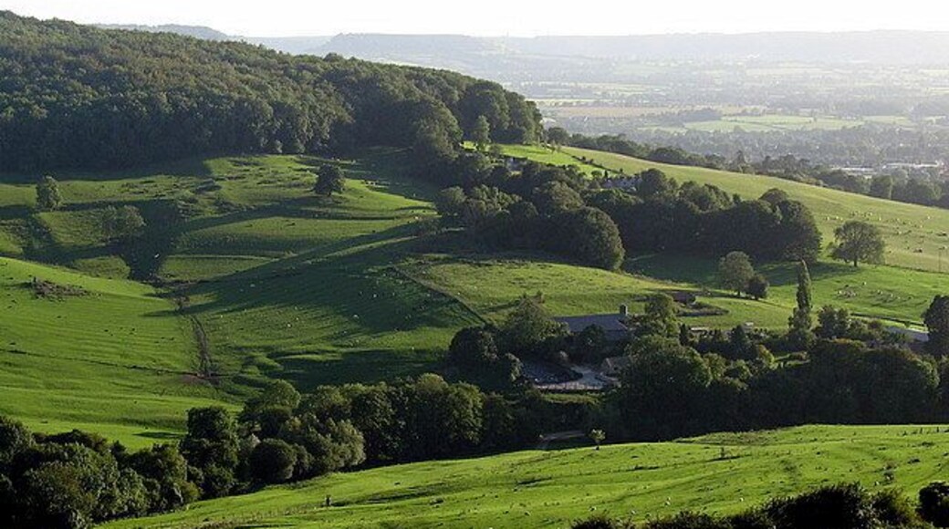 Standish park A view of Standish Park and Standish Park farm.