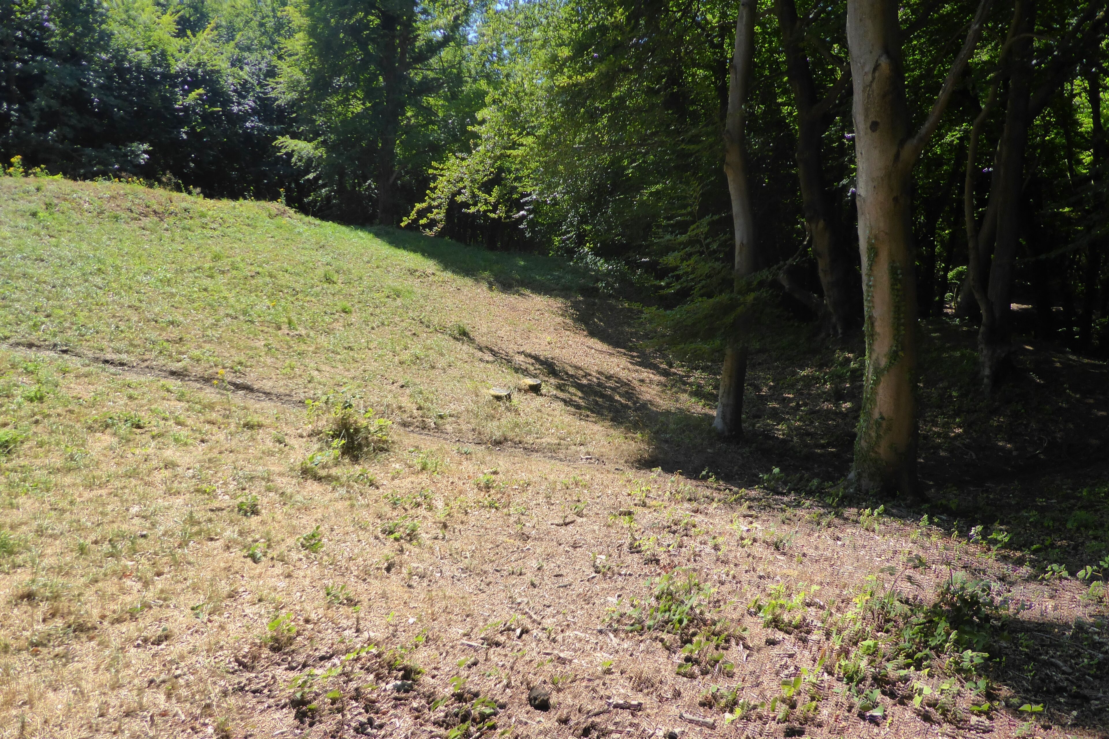 The northern slope of the Randwick Long Barrow in Standish Wood, Gloucestershire. This is a photo of listed building number 1002107.