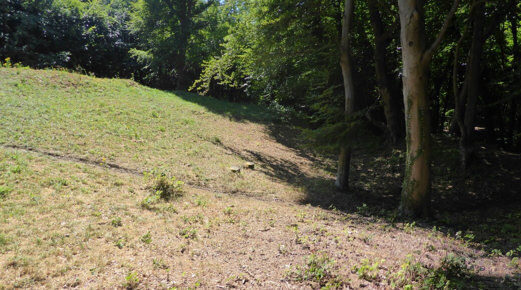 The northern slope of the Randwick Long Barrow in Standish Wood, Gloucestershire. This is a photo of listed building number 1002107.