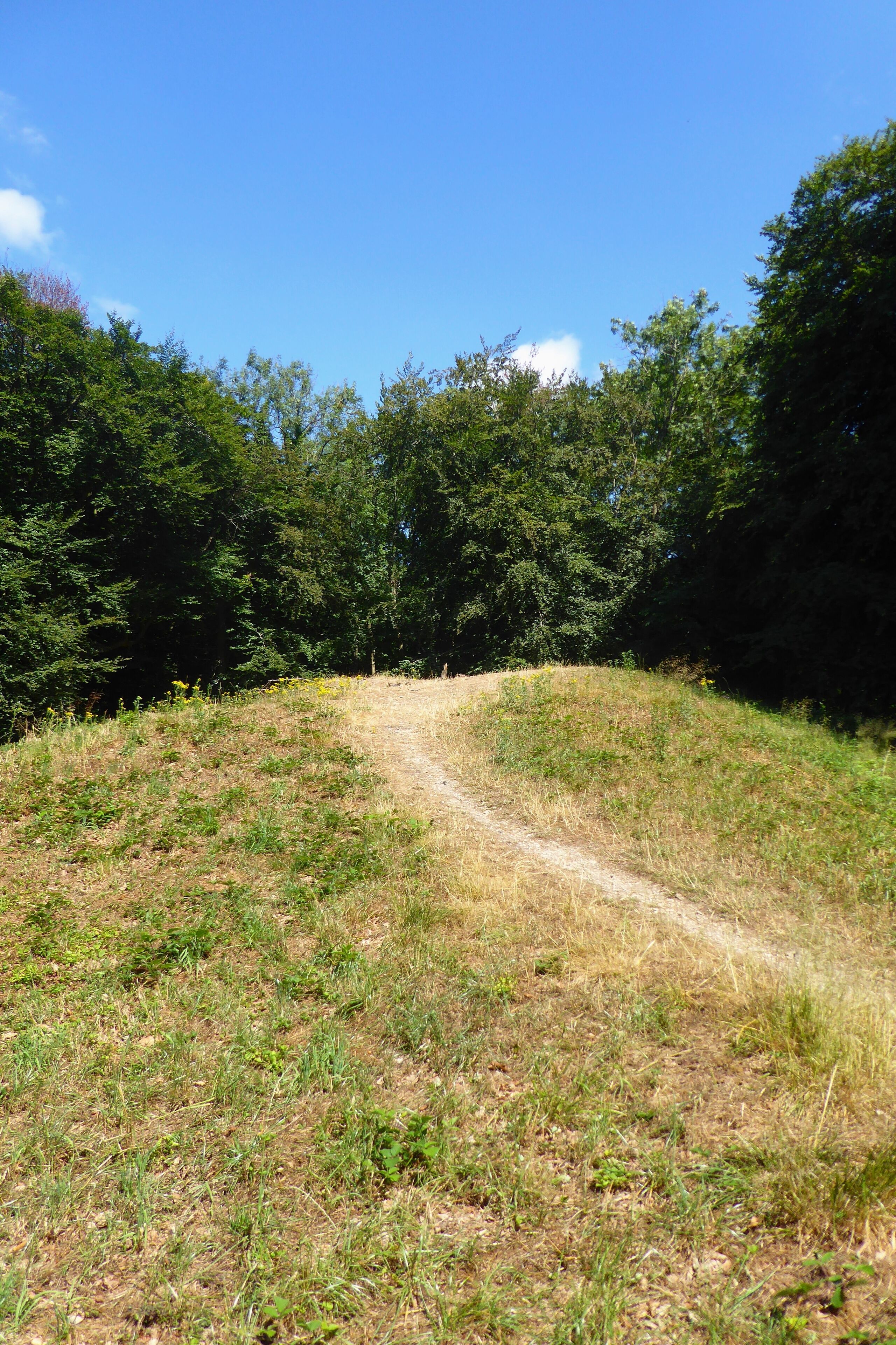 The top of Randwick Long Barrow in Standish Woods, Gloucestershire. This is a photo of listed building number 1002107.