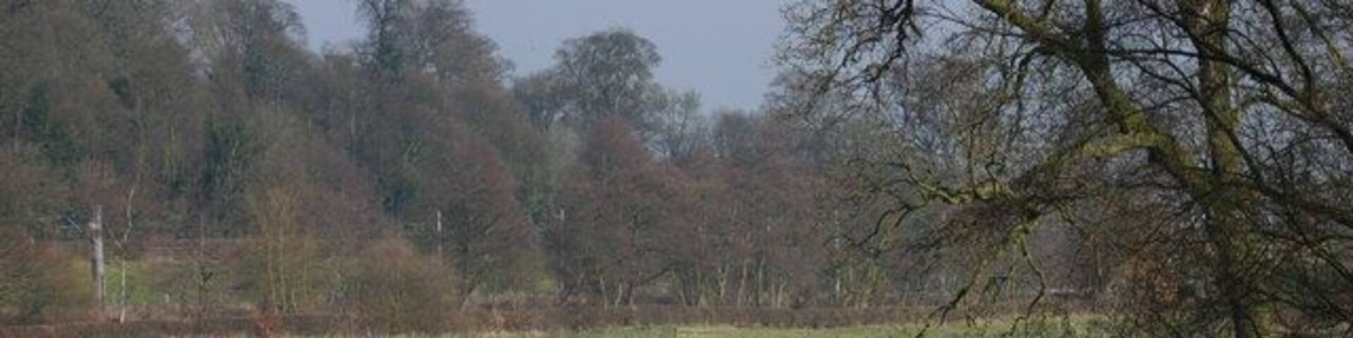 The river Trent, Salt. This is the River Trent taken from the Bridge facing East, in the background are trees on the Sandon Estate, a railway line can just be seen but hidden from view is the Trent and Mersey canal and the A51.