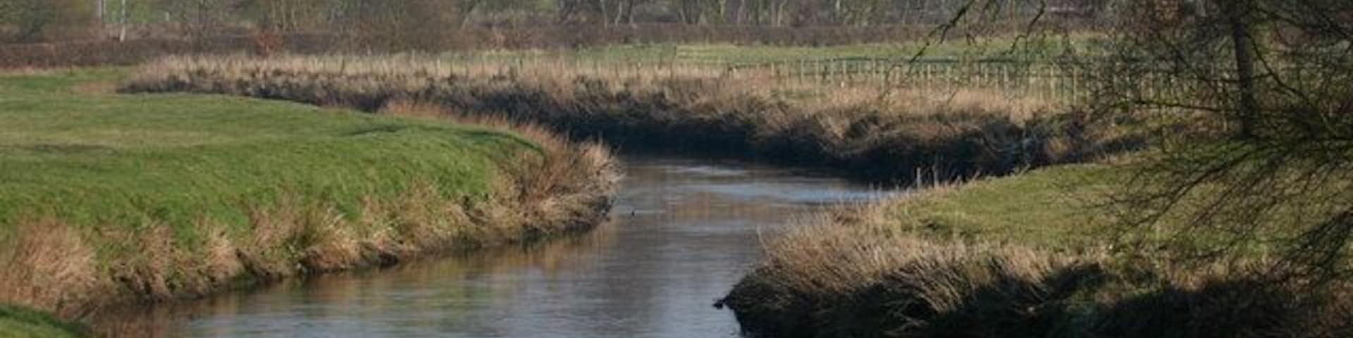 The river Trent, Salt. This is the River Trent taken from the Bridge facing East, in the background are trees on the Sandon Estate, a railway line can just be seen but hidden from view is the Trent and Mersey canal and the A51.