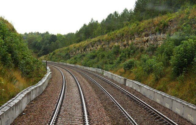 The railway cutting in Hailey Wood