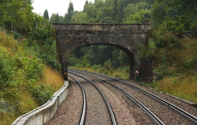 Bridge to the sawmill in Hailey Wood