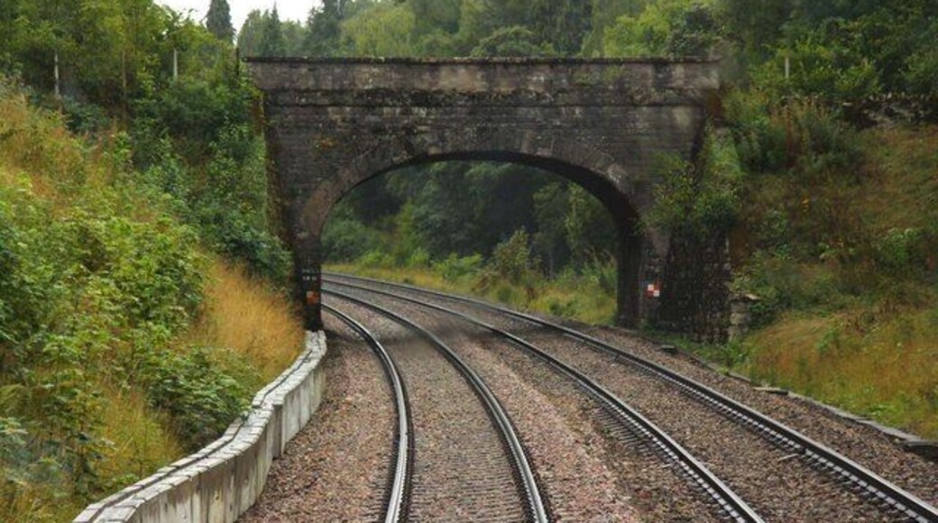 Bridge to the sawmill in Hailey Wood