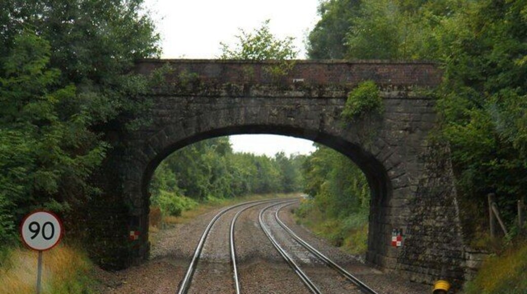 A woodland track crosses the line