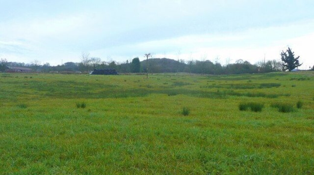 Part of Semley Common The south-western part of the access land near the A350