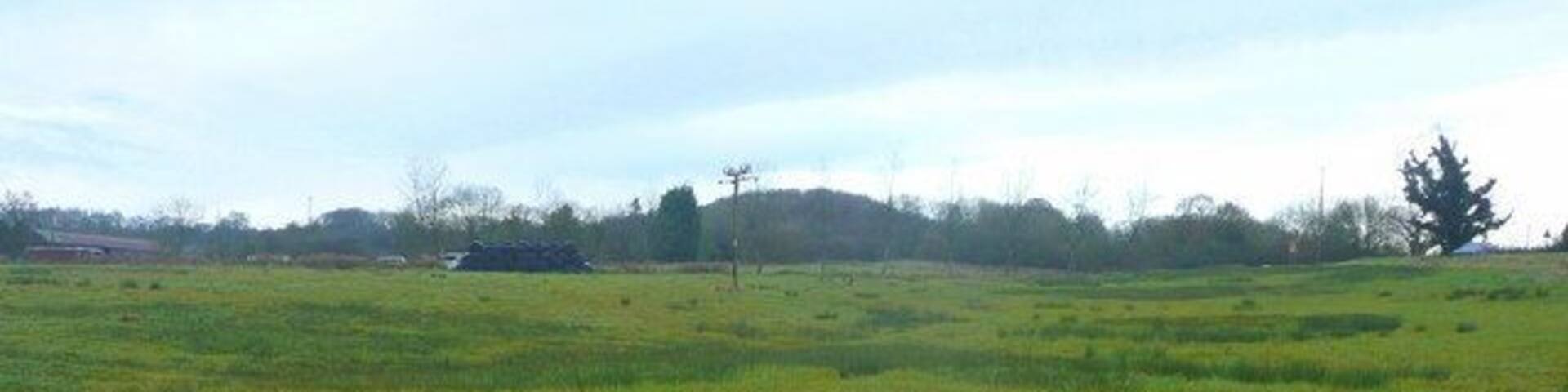 Part of Semley Common The south-western part of the access land near the A350