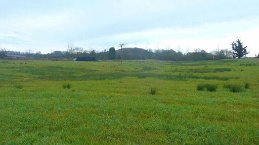 Part of Semley Common The south-western part of the access land near the A350