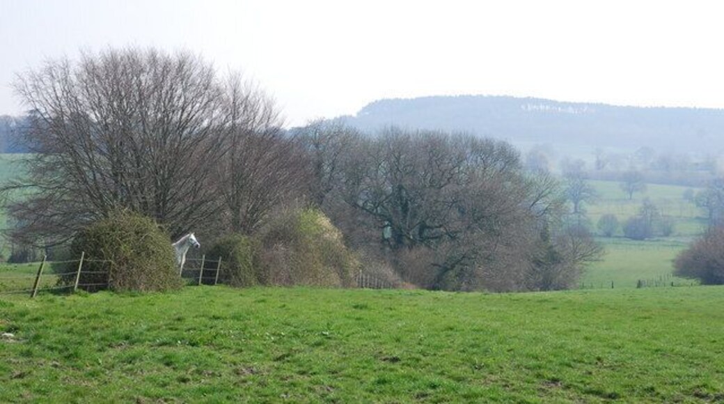 Cout Copse and farmland