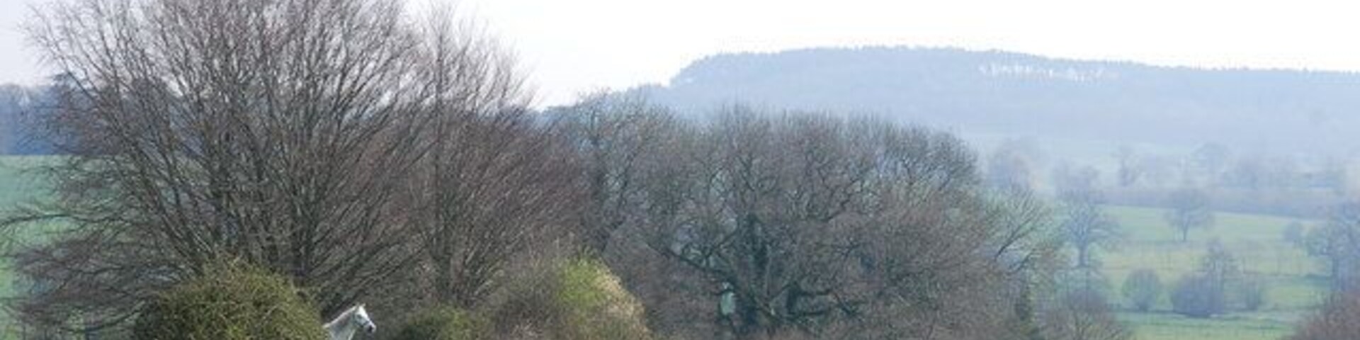 Cout Copse and farmland
