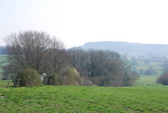 A rural landscape with a field, trees, and a distant hill.