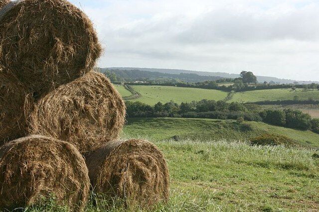 Straw Bales on Pitcombe Hill Kindly left by the farmer for the benefit of any passing photographer. We are looking toward Redlynch. Bruton is only just out of sight to the left and Pitcombe is at the bottom of the valley also a little to the left.