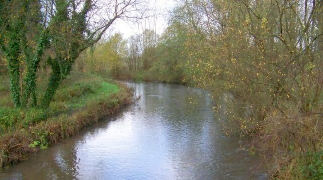 River Wylye, Boyton The river looking upstream from Boyton Bridge.