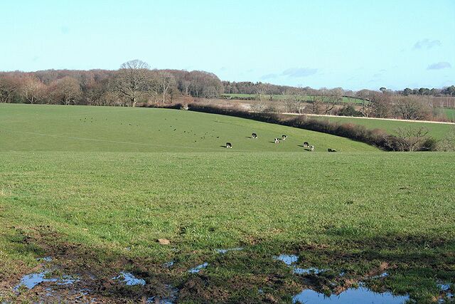 Southleigh: near Borcombe Farm Looking north-north-east