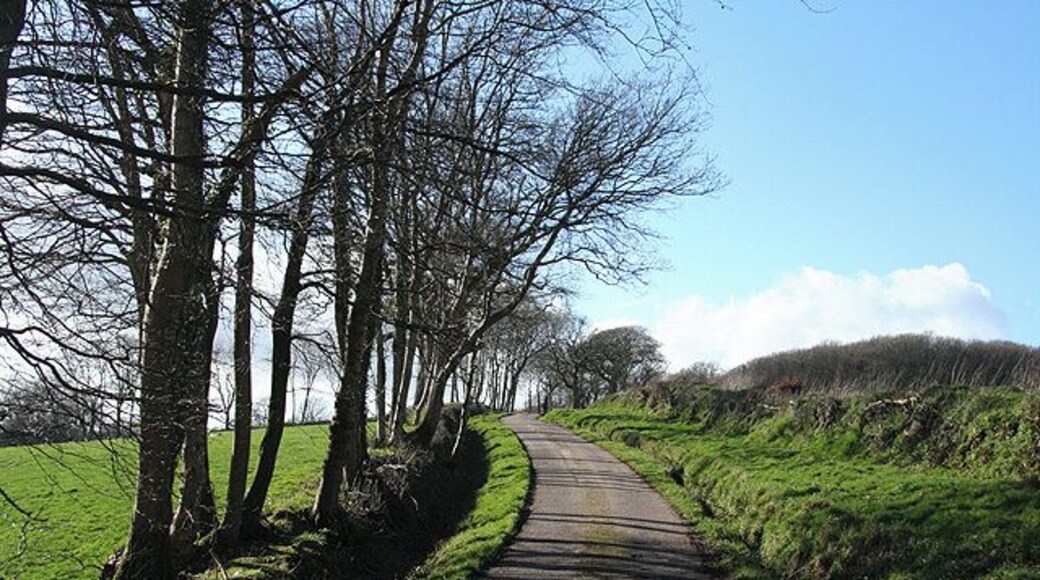 Southleigh: lane to Blackberry Castle Looking west-north-west with the Iron Age fort hidden under the wood on the right