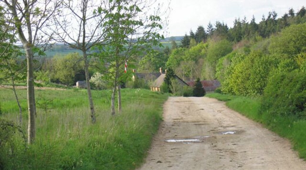 Holly Court Farm. Looking in a northerly direction from the road, down the lane leading to Holly Court Farm.