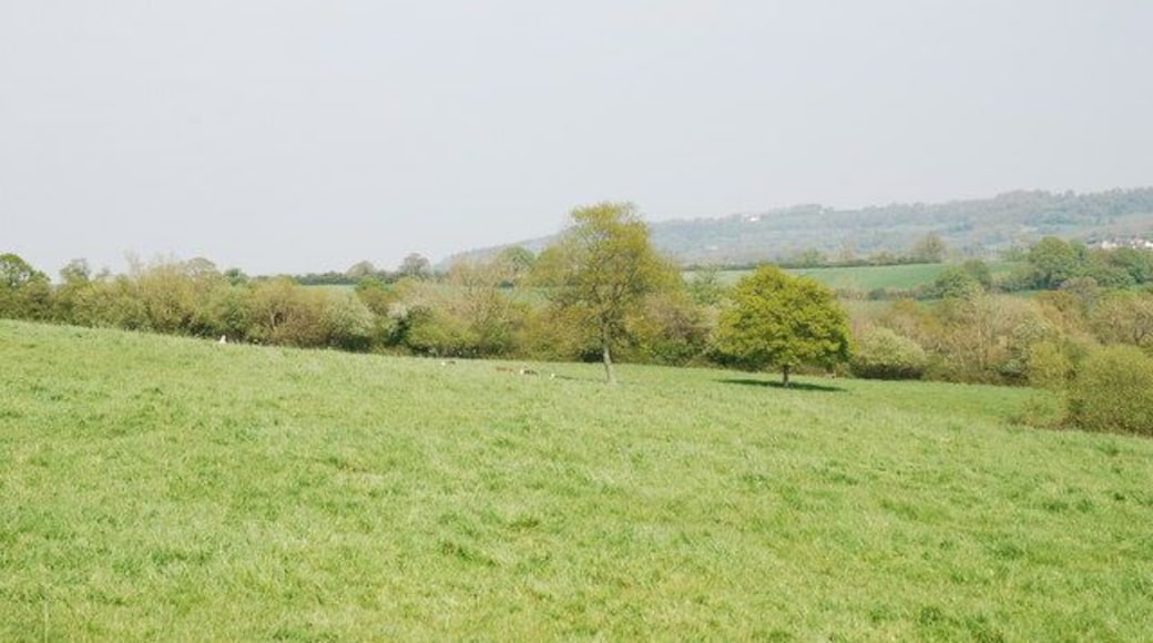 Lower slopes of Duncliffe Hill
