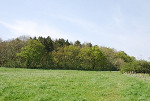 Southeast corner of Duncliffe Wood